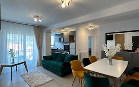 Apartamente Ariniș